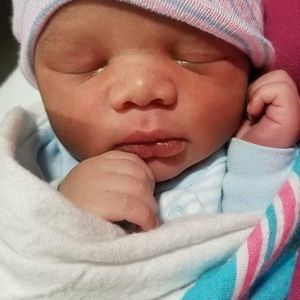 Meet your Posher, Peter